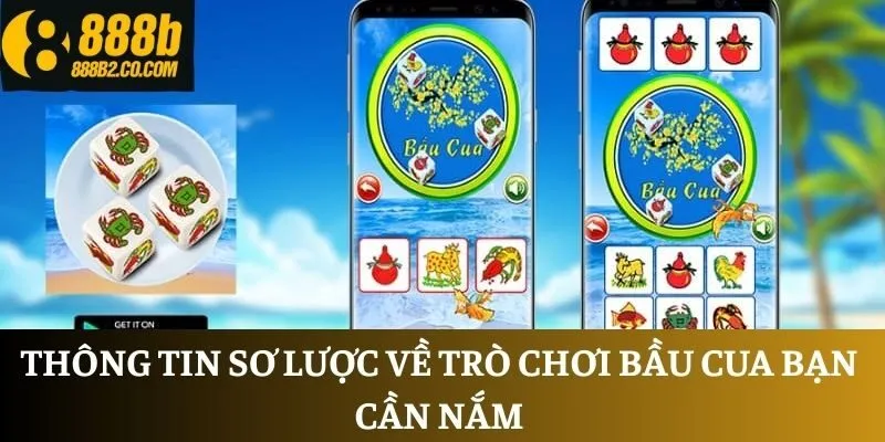 Thông tin sơ lược về trò chơi Bầu Cua bạn cần nắm